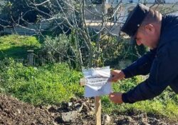 CAIAZZO / FORMICOLA. I carabinieri forestale sequestrano aree interessate da illecito smaltimento di rifiuti speciali costituiti da reflui oleari.