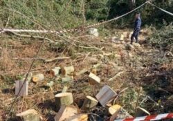 Frasso Telesino / Sant’Agata de’ Goti. Blitz dei carabinieri forestali, boscaioli abusivi in fuga: stavano tagliando alberi in area protetta.