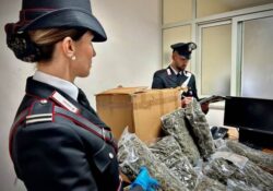 Caserta / Provincia. Riceve a casa un pacco con 10 kg di marijuana: casalinga chiama i carabinieri.