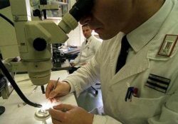 Pozzilli / Agnone. Distrusse la chiesa di San Michele Arcangelo, i Carabinieri identificano l’autore attraverso l’esame del DNA.