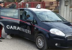 Caserta / Provincia. Sorpreso a rubare pannelli coibentati: arrestato dai carabinieri.
