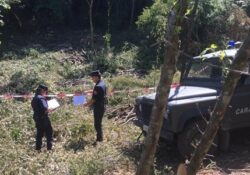 PONTELATONE. Taglio boschivo senza autorizzazione: sanzione dei Carabinieri Forestali.