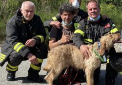 Castelpetroso. Cane scivola in un burrone nei pressi di Monte Patalecchia: salvato dai Vigili del Fuoco.