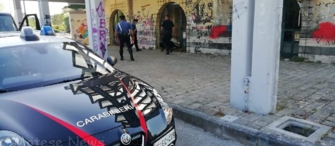 Venafro / Isernia. Lotta alla droga, maxi sequestro dei Carabinieri: un arresto.