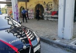 Venafro / Isernia. Lotta alla droga, maxi sequestro dei Carabinieri: un arresto.