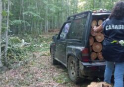 Pietraroja / Cerreto Sannita. Scoperti a rubare legna di faggio nel Parco Regionale del Matese: arrestati due uomini.