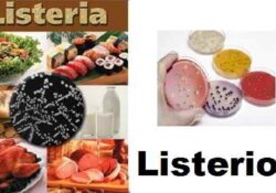Caserta / Provincia. Contaminazione da “listeria”, i controlli dei NAS su industrie alimentari ed esercizi di vendita e somministrazione di alimenti.