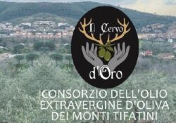 CASTEL MORRONE / CAPUA. I Comuni dei Monti Tifatini insieme per la valorizzazione e commercializzazione dell’olio extravergine d’oliva.
