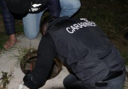 Caserta / Provincia. Illecita detenzione e cessione di stupefacenti: dieci arresti. FOTO e VIDEO.