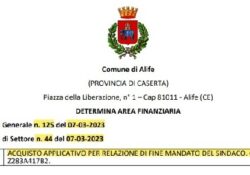 ALIFE. E ci costa altri 524,60 euro!!! La sola relazione di fine mandato del Sindaco ha il suo prezzo.
