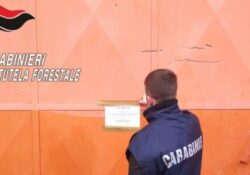 Portico di Caserta. Rifiuti pericolosi e sversamenti illeciti: i Carabinieri arrestano il titolare di un’officina, area sequestrata.
