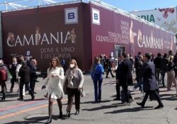 Sannio / Imprese. Consorzio Tutela Vini protagonista al Vinitaly 2025: una nuova iniziativa per promuovere il Sannio beneventano.