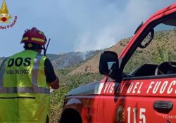 Venafro / Isernia. Incendio interessa 1.000 mq di vegetazione spontanea e canneto: intervengono i Vigili del Fuoco.