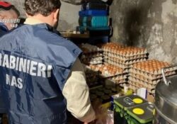 Sannio / Controlli. I NAS sospendono tre opifici e sequestro ingenti quantitativi di prodotti alimentari non conformi.