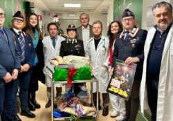 PIEDIMONTE MATESE / CASERTA. Albero di Falcone presso gli ospedali: dopo il matesino “Ave Gratia Plena” anche all’Azienda ospedaliera S. Anna e S. Sebastiano.