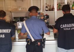 Caserta / Provincia. Controlli dei Carabinieri in materia di lavoro: sospese 3 attività imprenditoriali.