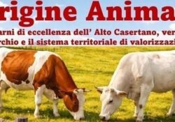 CASTEL CAMPAGNANO. Carni di eccellenza dell’Alto casertano, arriva il sistema territoriale di valorizzazione.