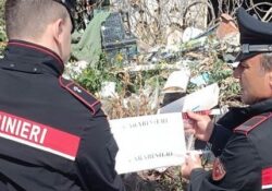 Caserta / Provincia. Orrore nella “Terra dei fuochi”: casa – discarica con 13 cani e un pitone reale, scattano denunce e sequestri.
