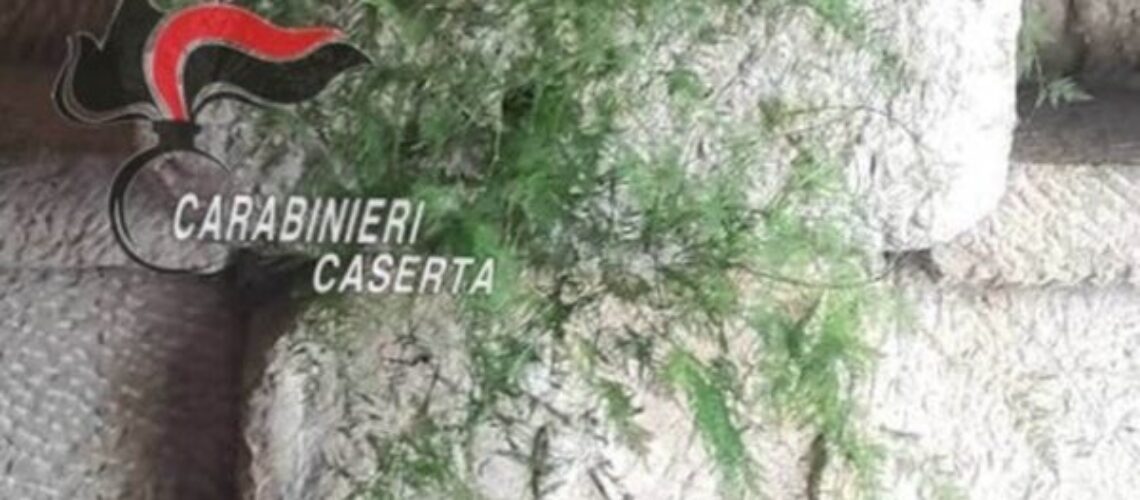 PIETRAVAIRANO. Un tesoro nascosto nel muro del ristorante: scoperto dai Carabinieri un frammento di sarcofago romano.