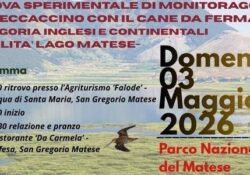 SAN POTITO SANNITICO / SAN GREGORIO MATESE. Parco Nazionale del Matese, ASOIM (Associazione Studi Ornitologici Italia Meridionale) e WWF Italia : “Fermate la prova per cani da ferma al Lago Matese. A rischio specie protette e habitat”.