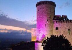 RIARDO. In occasione della Giornata Mondiale della Fibromialgia il Castello si illumina di viola.