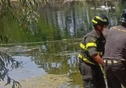 Caserta / Provincia. I Vigili del Fuoco recuperano il cadavere di un uomo avvistato da alcun persone mentre galleggiava in un laghetto.