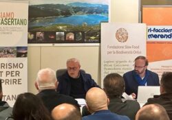 PIEDIMONTE MATESE / FORMICOLA. Disegnare correttamente gli interventi da candidare nell’ambito del progetto complesso di comunità, PCC: il GAL presenta i modelli multicapitali.